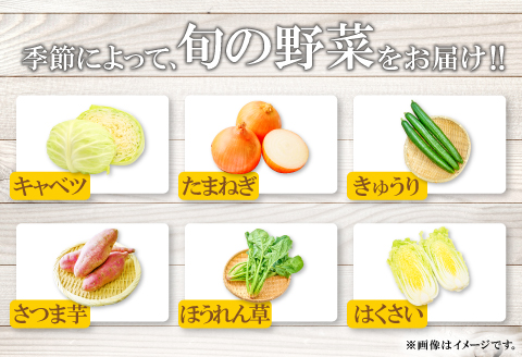 A-198 朝採れ地元  野菜おまかせセット