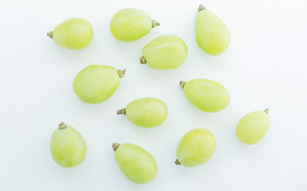 ☆正金農園より直送☆ 農薬節減 シャインマスカット（粒タイプ） 2パック入