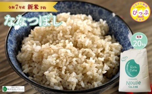 2025年産 先行受付【農業生産法人ノウリエ】北海道産 ななつぼし 玄米 20kg【11月から12月上旬発送】米 お米 北海道米 特Aランク 国産 コメ 北海道 比布町 ぴっぷ