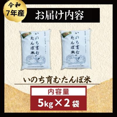 ふるさと納税 小松島市 【令和7年産先行受付】お米 10kg コシヒカリ  令和7年産 米 こめ ご飯 ごはん |  | 03
