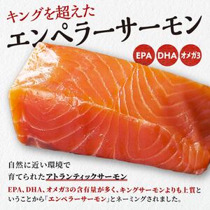 醤油漬鮭いくら 300g(100g×3パック)×訳あり エンペラーサーモン 900gのセット_I026-1651