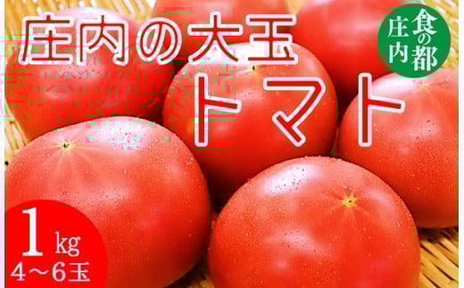 食の都庄内　庄内の大玉トマト約1kg（4～6玉） 濃厚な味わいとみっちりと詰まったトマト！※7月上旬より順次配送