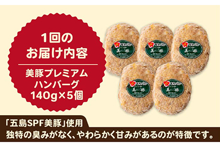 【全6回定期便】五島美豚プレミアムハンバーグ5個 豚肉 SPFポーク 個包装 手ごね お取り寄せ 五島市/長崎フードサービス [PEL041]