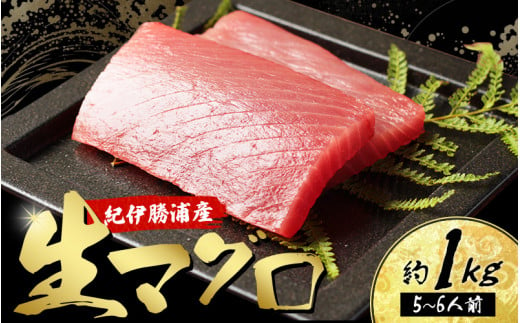 産地直送！ 紀伊勝浦産 天然生マグロ 約1kg(5~6柵)  冷蔵便 ※ビンチョウ・キハダ・メバチのいづれかをお届け【sko003】