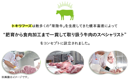 ビーフカレー 200g×6パック 茨城県産 黒毛和牛  常陸牛【トキワフーズ】206