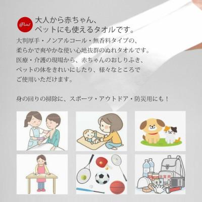 ふるさと納税 新居浜市 ウェットタオル 大判 厚手 さわやかたおるちゃん (詰め替え 150枚入) ×4個 【SPC】 |  | 01