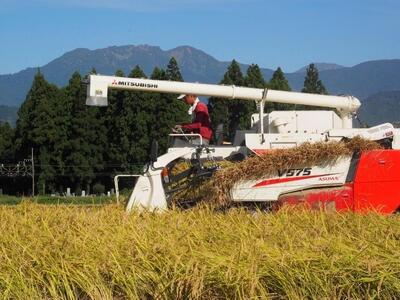 【令和7年産】【定期便 南魚沼産】コシヒカリ 白米3kg×6回【2025年9月中旬より順次発送予定】