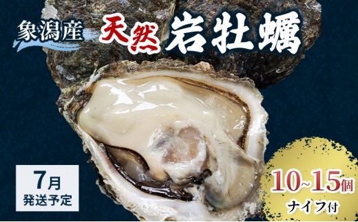 
                  【 先行予約 7月上旬～下旬発送予定】象潟産 天然岩牡蠣 10～15個 ナイフ付【 牡蠣 夏牡蠣 かき 象潟 生食可 魚介類 海鮮 海産物 海の幸 】 さとう鮮魚店
                