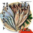 【ふるさと納税】できたて干物セット 4～5種 おまかせ 富山県黒部市/産地直送 旬 魚介 魚 さかな 詰め合わせ ひもの 富山湾 名水 産地直送 生地　【 干物の詰め合わせ 加工品 朝食 朝ごはん おかず 夕飯 晩御飯 】