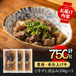 豊後米仕上げ牛 牛すじ煮込み(計750g・250g×3パック)牛肉 お肉 おかず おつまみ 小分け 簡単調理 時短 冷凍 惣菜【111100200】【神楽茶屋】