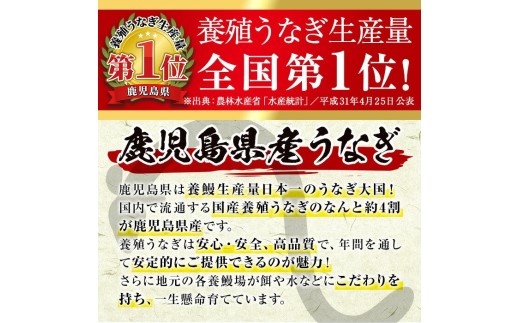 ＜内容量が選べる！＞無投薬！鹿児島県産うなぎ蒲焼カット(計800g以上・約50g×15枚) タレ・山椒付き【西日本養鰻】B147-v03