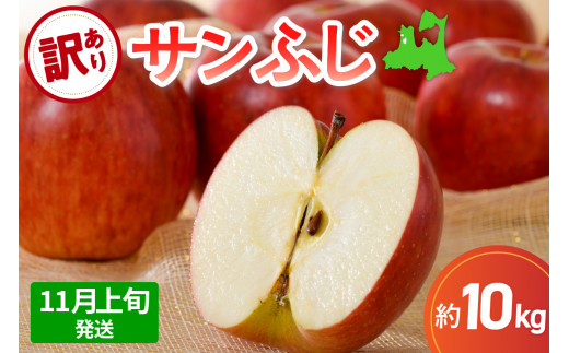 【先行受付】【2025年11月上旬発送】 サンふじ青森 訳あり りんご 10kg 程度 五所川原 不揃い