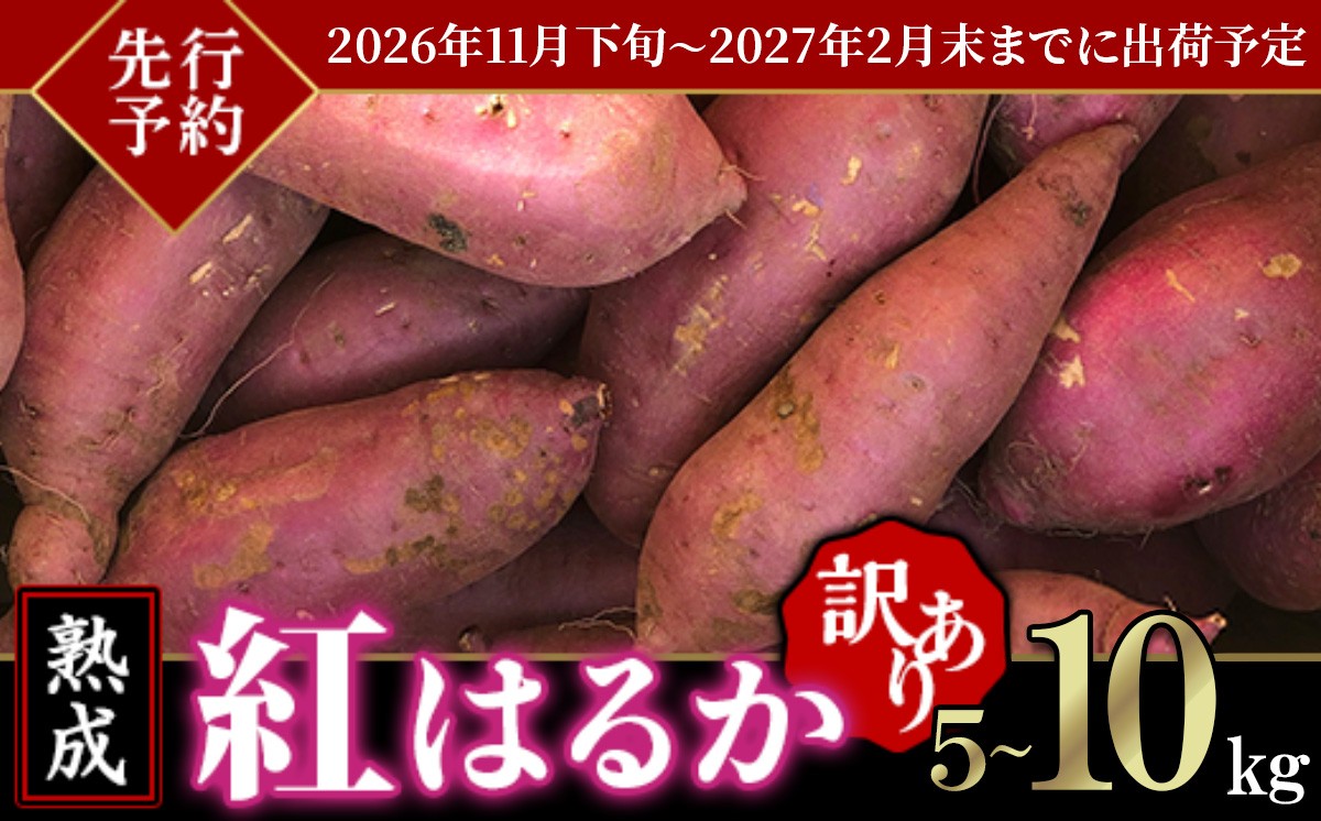 
                  【 先行予約 】【 訳あり 】 茨城県産 熟成さつまいも 「 紅はるか 」 5 ～ 10kg 【 2026年11月下旬頃～2027年2月末までに出荷予定 】【 さつまいも 紅はるか 芋 サツマイモ 甘い 焼き芋 スイートポテト 茨城県産 大容量 不揃い ねっとり 】[SZR]
                