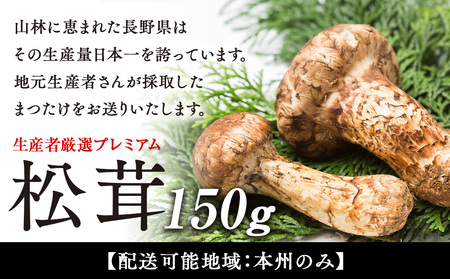 松茸 限定品 プレミアムまつたけ 150g 2本程度 きのこ キノコ 秋の味覚 野菜