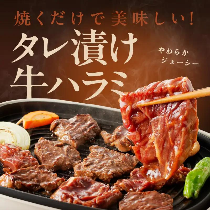 【定期便】牛ハラミ肉 総量 1.3kg（ハラミ 300g×4P+牛すじ 100g）×全3回