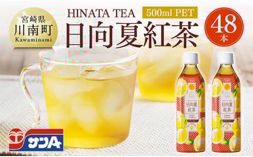 サンA 日向夏 紅茶 HINATA TEA 500mlＰＥＴ 24本入り × 2ケース 【飲料 日向夏 紅茶 PET ジュース 長期保存 送料無料】