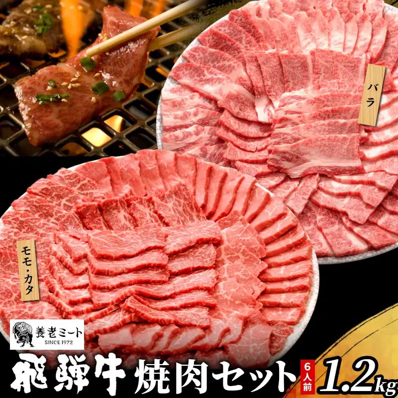 【最短発送】 贅沢！ 飛騨牛 焼肉セット 1.2kg 6人前 牛肉 和牛 肉 焼肉 BBQ 霜降り カルビ 赤身 モモ カタ 東白川村 岐阜 養老ミート