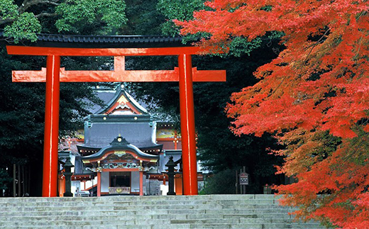 鹿児島県霧島市ANAトラベラーズホテル割引クーポン（22500点分） K-545-D
