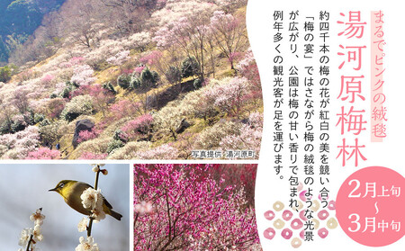 【湯河原町】JTBふるさと旅行クーポン（30,000円分）有効期間3年（Eメール発行）｜旅行 トラベル 予約 国内旅行 JTB 宿泊 観光 体験 旅行券 宿泊券 旅行予約 温泉 ホテル 旅館 チケット