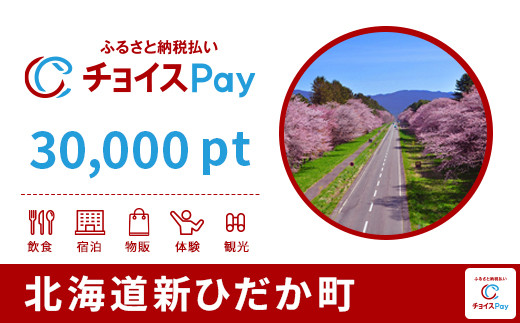 
                  新ひだか町チョイスPay 30,000pt【会員限定のお礼の品】
                