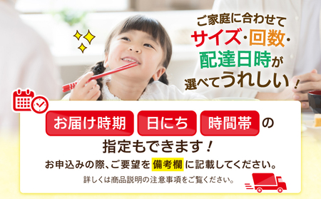 【12回定期便】綾町旬野菜ギフト（Lサイズ / 約12-13種）4人以上分 / 12ヶ月 有機栽培 産地直送 新鮮 旬 詰め合わせ 送料無料_A0004-111