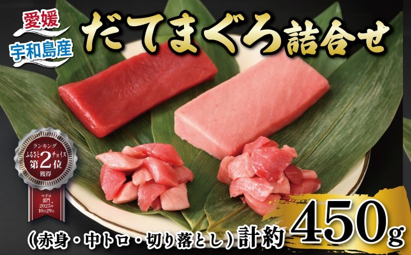 
            マグロ 鮪 赤身 150g 1柵  中トロ 150g 1柵 切落し 75g 2パック 詰合せ セット 辻水産 だてまぐろ 詰め合わせ マグロ刺身 とろ maguro ツナ トロ 刺身 お刺身 国産マグロ 漬け ネギトロ 人気 海鮮 魚 産地直送 冷凍 国産 愛媛 宇和島 D024-062005
          