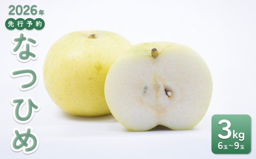 【2026年 先行予約】なつひめ 3kg｜鳥取 東光園 梨 2026年収穫後 2026年8月下旬頃～順次発送※着日指定不可【41066】