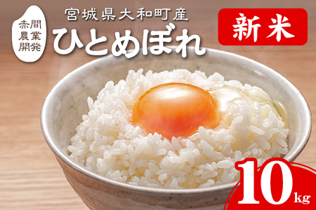 ＜令和7年産 新米 先行予約！2025年10月から順次発送予定＞ ひとめぼれ 10kg お米 おこめ 米 コメ 白米 ご飯 ごはん おにぎり お弁当【赤間農業開発株式会社】ta461