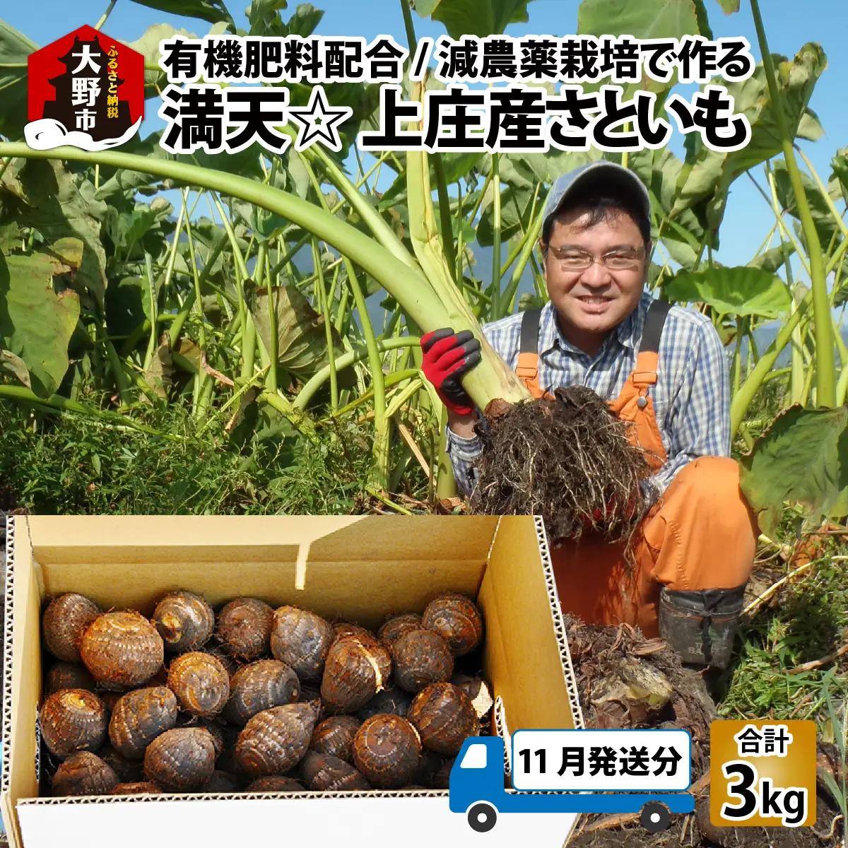 【先行予約】【11月発送分】上庄産さといも3kg 有機肥料配合 減農薬栽培 [A-005007_01]