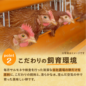 【12回定期便】大平原ファームの新鮮でおいしい卵 計40個(赤卵)×12ヶ月【北海道 清水 卵 480個 赤卵 こだわり卵 卵かけご飯 玉子 タマゴ 卵焼き TKG 温泉卵 オムレツ ゆでたまご 栄養