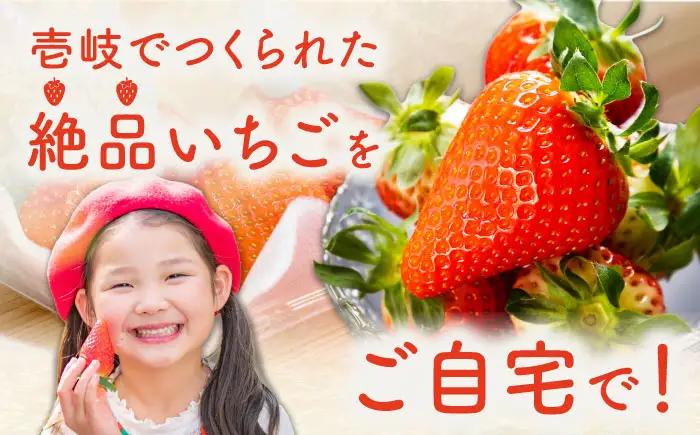 【先行予約】いちごセット（ゆめのか・恋みのり） [JEO001] 