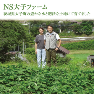 【先行予約】【10月中旬より順次発送予定】熟成さつまいも シルクスイート5kg｜茨城県 大子町 サツマイモ 芋 甘い ホクホク 野菜 数量限定 5キロ 旬（CH003）