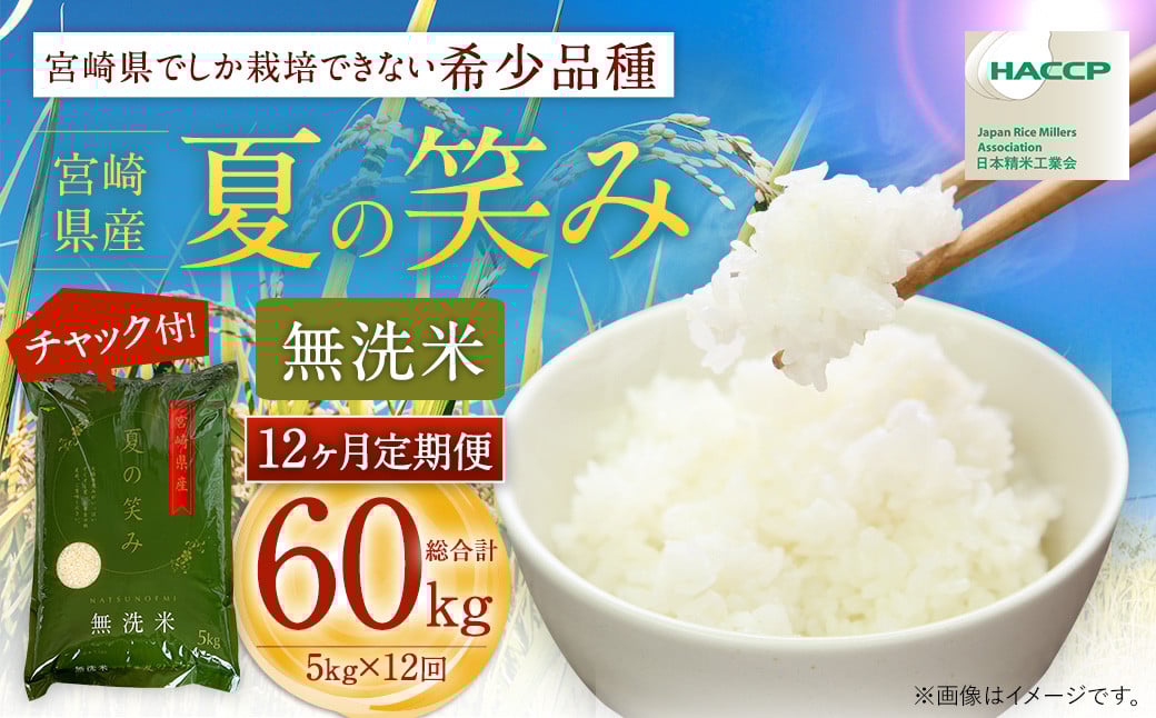 ＜【12ヶ月定期便】令和7年産 宮崎県産 夏の笑み（無洗米）5kg＞2025年9月上旬以降順次 第1回目発送（8月は下旬頃） 米 夏の笑み 無洗米 精米 希少 品種 白米 お米 ご飯 宮崎県産