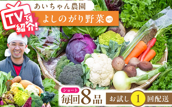 【8品】農薬に頼らない！カラダにやさしい「よしのがり野菜」セット（ショート）吉野ヶ里町/あいちゃん農園[FAA001]