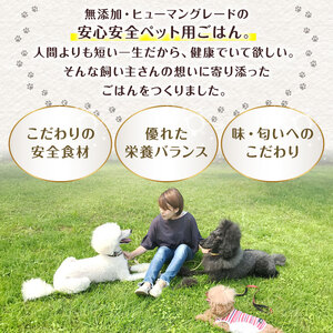 無添加 ペットフード (イワシ煮 トマトシチュー) ワンコとニャンコのご飯 2種類 4袋 犬 猫 ドッグフード キャットフード ペットフード ヒューマングレードのペットフード