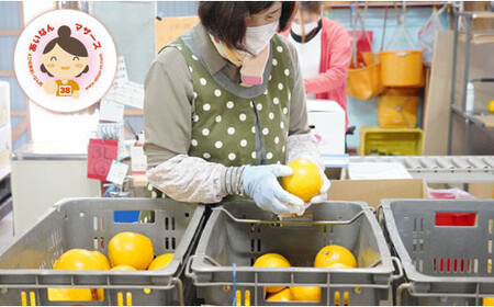 河内晩柑 6kg あいなんマザーズ