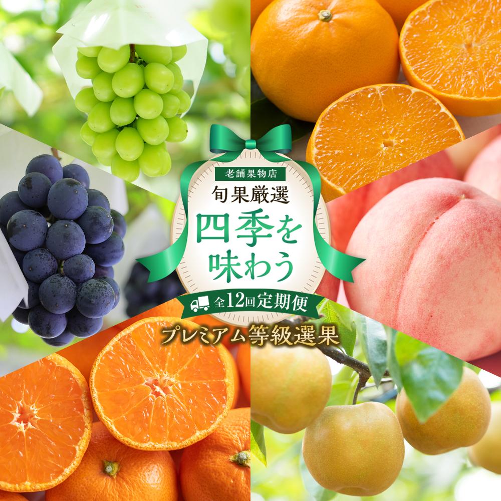 【ふるさと納税】【定期便全12回】旬果厳選！四季を味わう単品定期便♪～プレミアム等級選果～ | フルーツ 果物 くだもの 食品 人気 おすすめ 送料無料