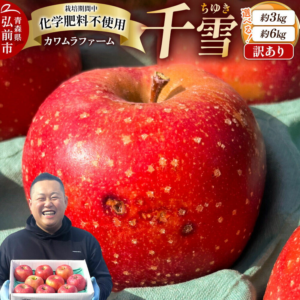 【ふるさと納税】【26年10月下旬〜発送】りんご 千雪【訳あり】【選べる約 3kg／6kg】カワムラファーム 青森 果物 フルーツ 林檎 リンゴ くだもの [先行受付 アップル おいしい ちゆき 果実 果物 赤色 美味 林檎 弘前市]