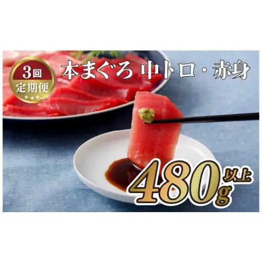 《定期便》長崎県産本まぐろ(中トロ･赤身)480g以上【3回お届け】