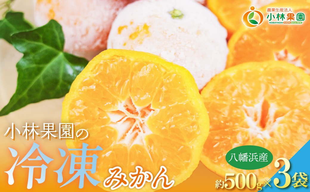 
                  小林果園の冷凍みかん(500g×3袋)【訳あり】【C24-27】 YWTAD020
                