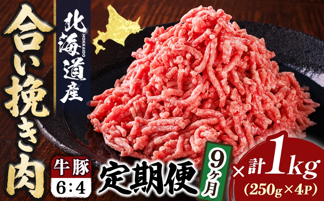 【定期便 9ヶ月連続】北海道産 合い挽き肉 合計1kg（牛6：豚4） 黄金比ひき肉｜挽肉 挽き肉 ひき肉です 合挽肉 合挽き肉 豚 肉 豚肉 豚肉ミンチ 合挽豚肉 牛 肉 牛肉 牛肉ミンチ 合挽牛肉 合い挽き 小分け 一人暮らし セット おかず ハンバーグ 冷凍 定期便 肉 絶品 人気 ヒロセ 北海道 釧路町 釧路超 特産品