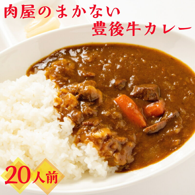 【ふるさと納税】肉屋のまかない豊後牛カレー 230g 20袋