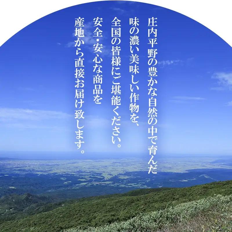 【令和8年産先行予約】大粒ぶどう3種　約2kg　シャインマスカット＋他2品種　丸果庄内青果