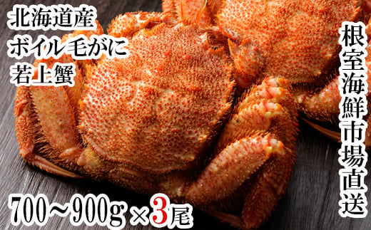 
                  D-11064 ボイル毛がに700～900g×3尾(若上蟹)
                