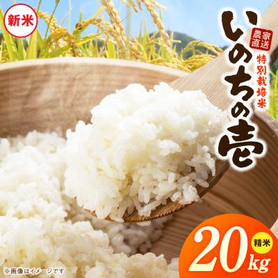 ふるさと納税 小牧市 【R8年産新米 先行受付】特別栽培米「いのちの壱」(20kg)<農家直送> [208K04]