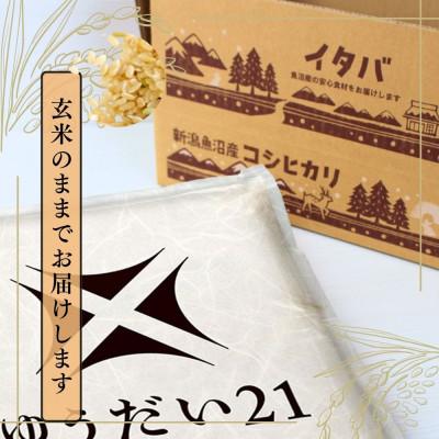 ふるさと納税 十日町市 【令和7年産】魚沼産ゆうだい21(玄米)5kg |  | 01