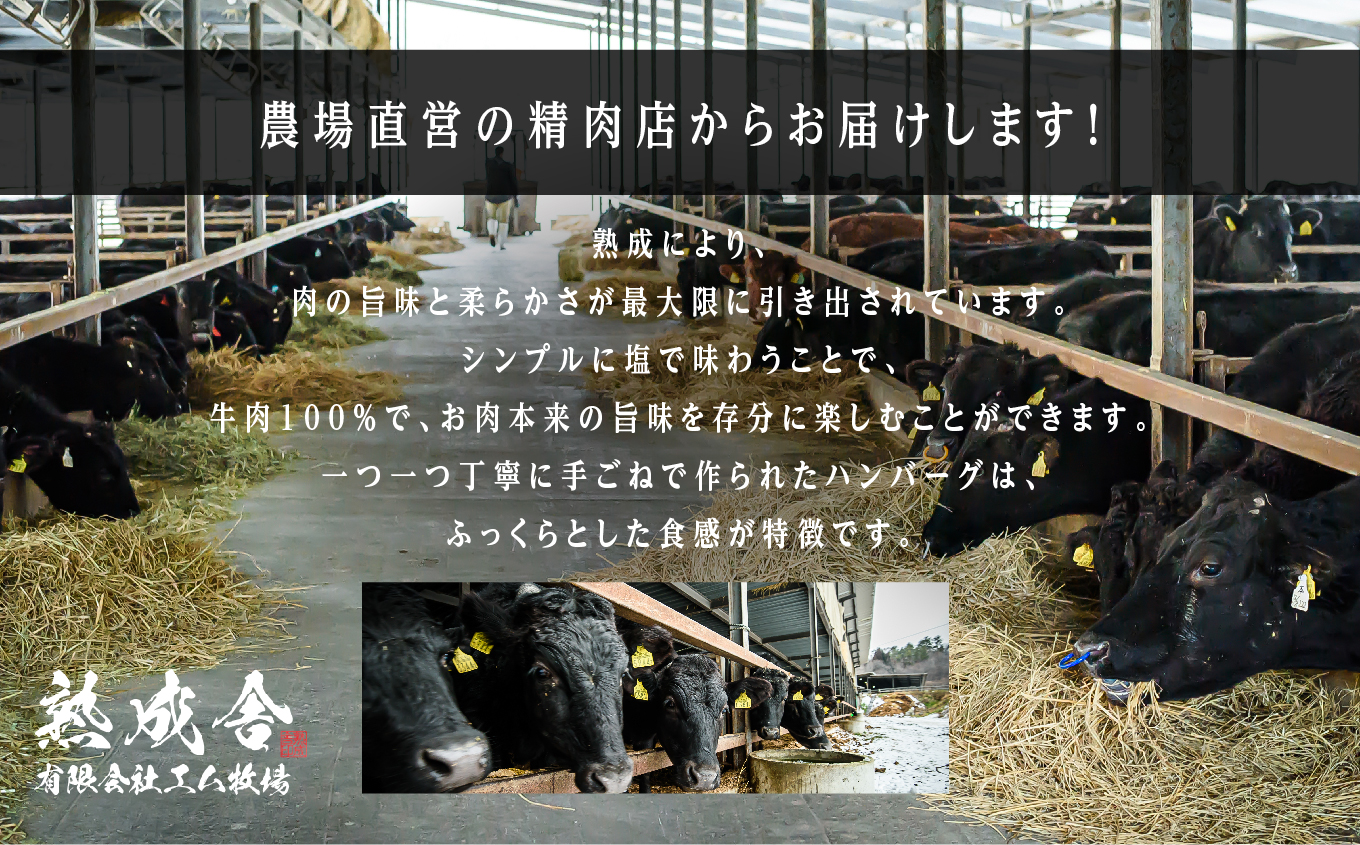 ＼年内発送可能！／二本松熟成牛 塩で食べる！手ごねハンバーグ 900g（150g×6袋） 国産 牛肉 ひき肉 ミンチ 小分け お取り寄せ グルメ 使いたい分 ハンバーグ 肉汁 生ハンバーグ おすすめ 