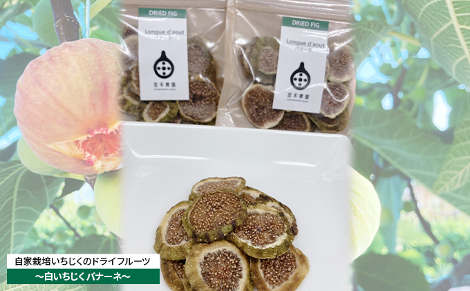 
自家栽培いちじくのドライフルーツ～白いちじくバナーネ～ [№5990-0686]
