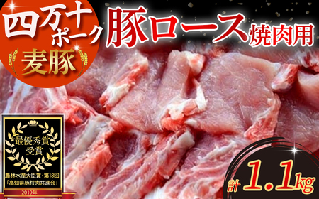 農林水産大臣賞受賞の「四万十ポーク」平野協同畜産の「麦豚」焼き肉用（豚ロース肉1.1kg） 豚ロース スライス しゃぶしゃぶ 国産 ぶた肉 豚肉 肉 お肉 冷蔵／Ahc-01