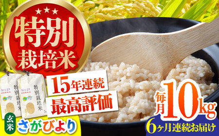 【全6回定期便】特別栽培米 さがびより 玄米 10kg [HAG020]特A米 特A評価